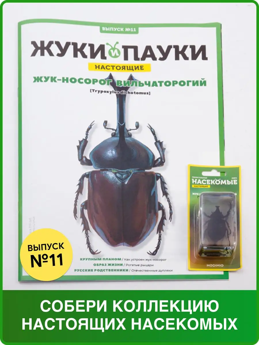 Жуки и Пауки, Выпуск №11, Жук-носорог вильчаторогий MODIMIO 53598046 купить  за 471 ₽ в интернет-магазине Wildberries