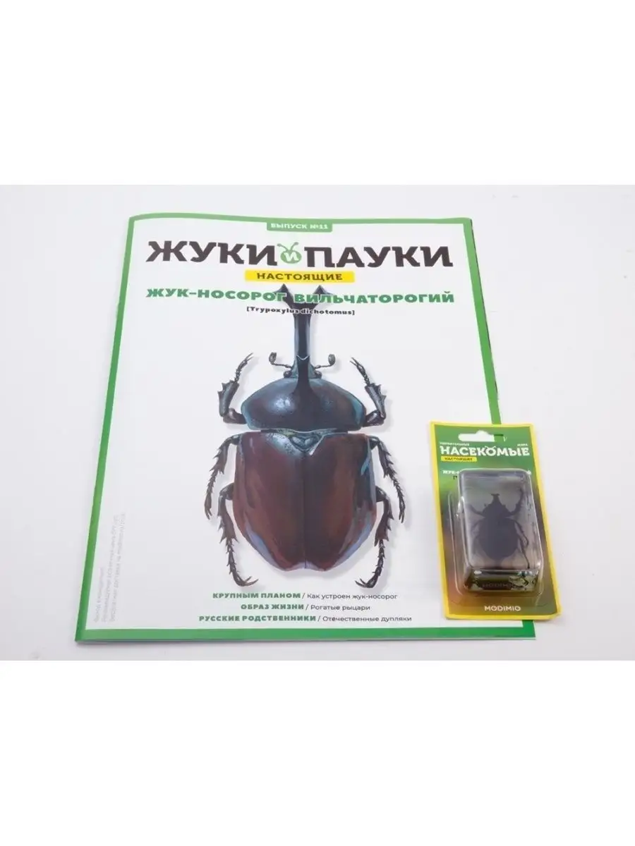 Жуки и Пауки, Выпуск №11, Жук-носорог вильчаторогий MODIMIO 53598046 купить  за 512 ₽ в интернет-магазине Wildberries