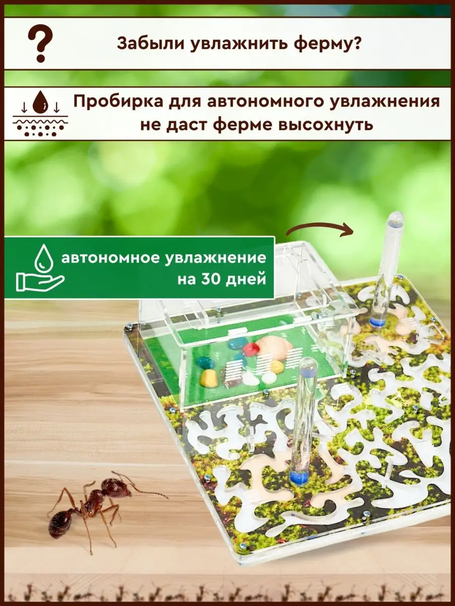 Муравьиная ферма Макс Мох FORMIC 53699988 купить за 1 709 ₽ в  интернет-магазине Wildberries