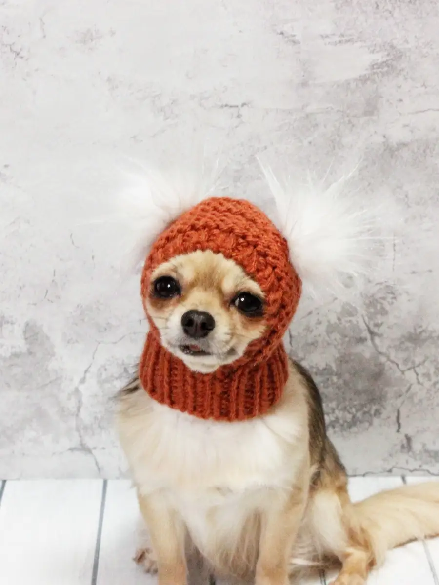 Вязаная одежда для собак купить в интернет-магазине недорого, цена с доставкой в Москве