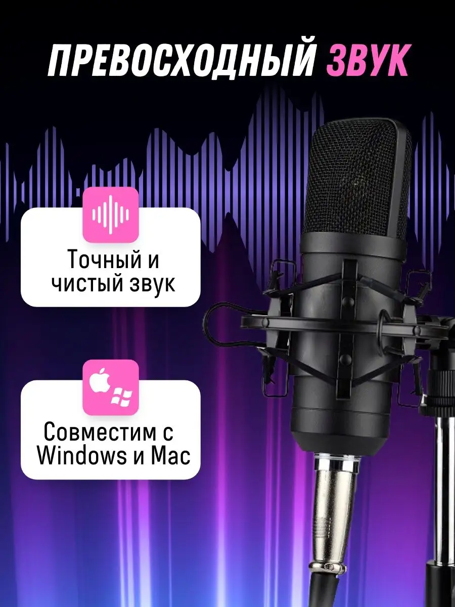 Профессиональный студийный микрофон с кабелем XLR ProMedia 53824021 купить  за 3 803 ₽ в интернет-магазине Wildberries