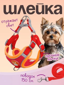 Шлейка для собак и кошек мелких и средних пород MiloPets 53908250 купить за 574 ₽ в интернет-магазине Wildberries