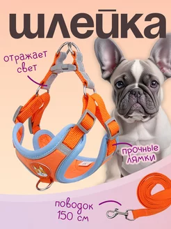 Шлейка для собак и кошек мелких и средних пород MiloPets 53908251 купить за 449 ₽ в интернет-магазине Wildberries