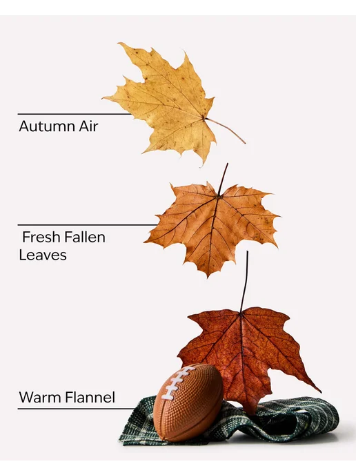 Bath & Body Works Антисептик Bath&Body Works Football Season, 29 мл, фото 3
