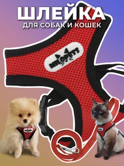 Шлейка для собак и кошек с поводком MiloPets 53995294 купить за 269 ₽ в интернет-магазине Wildberries