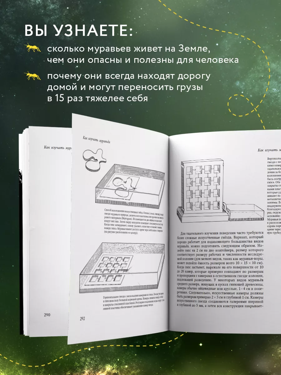 Путешествие к муравьям Эксмо 54018745 купить за 918 ₽ в интернет-магазине  Wildberries