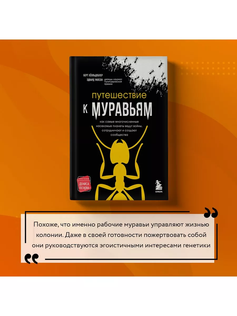 Путешествие к муравьям Эксмо 54018745 купить за 918 ₽ в интернет-магазине  Wildberries