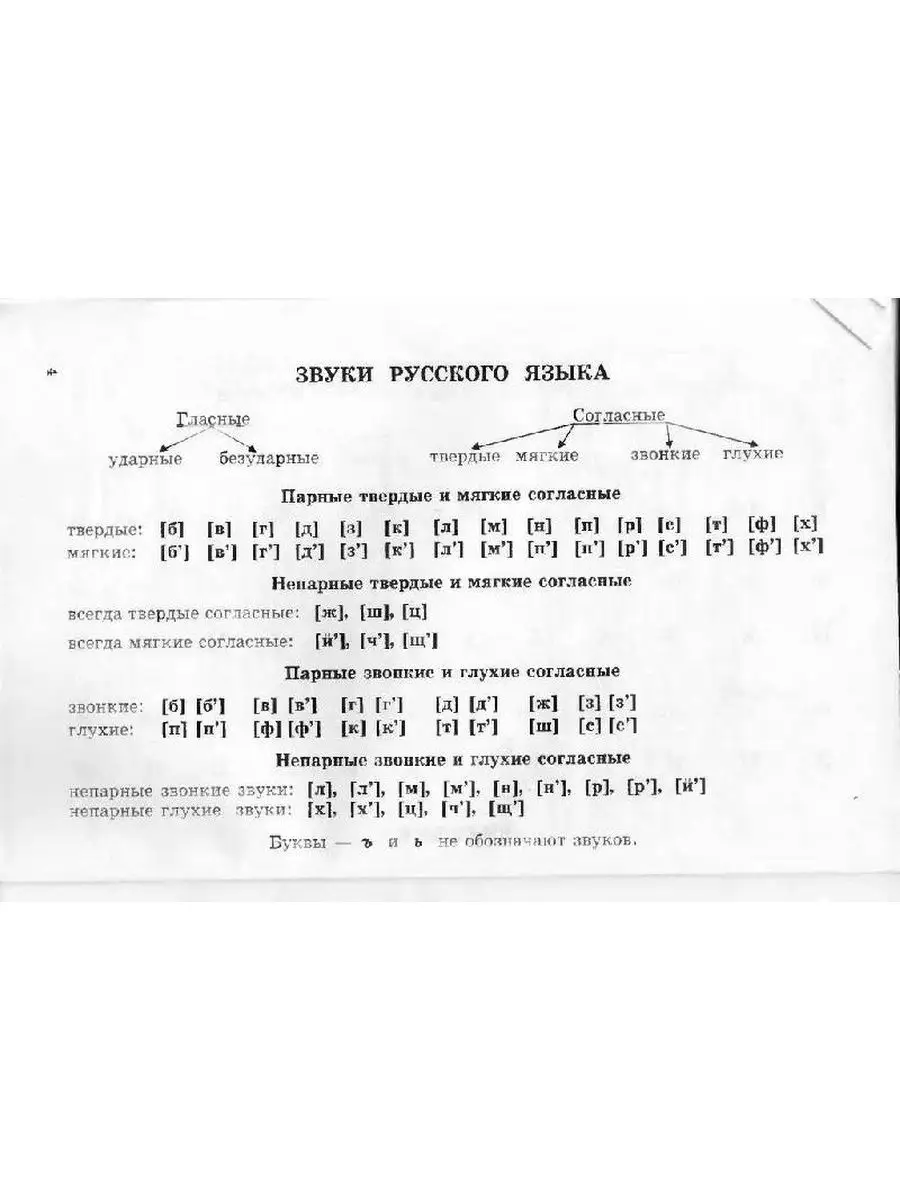 Учебные таблицы по русскому языку 5-11 к ТЦ СФЕРА 54096230 купить за 154 ₽  в интернет-магазине Wildberries