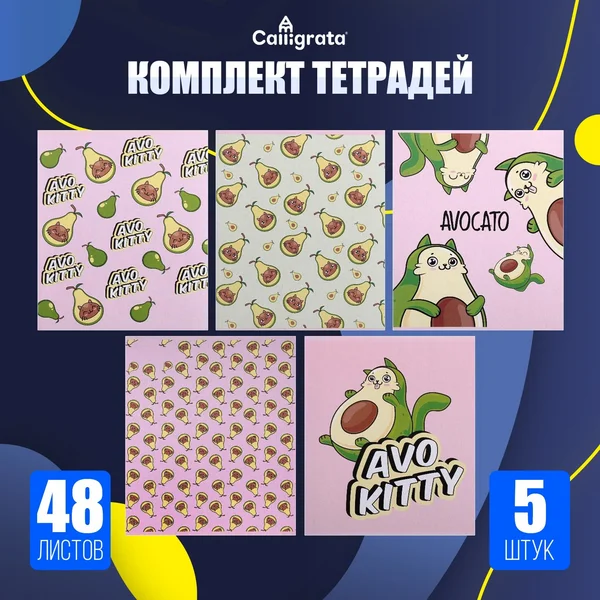 Набор общих тетрадей 48 листов