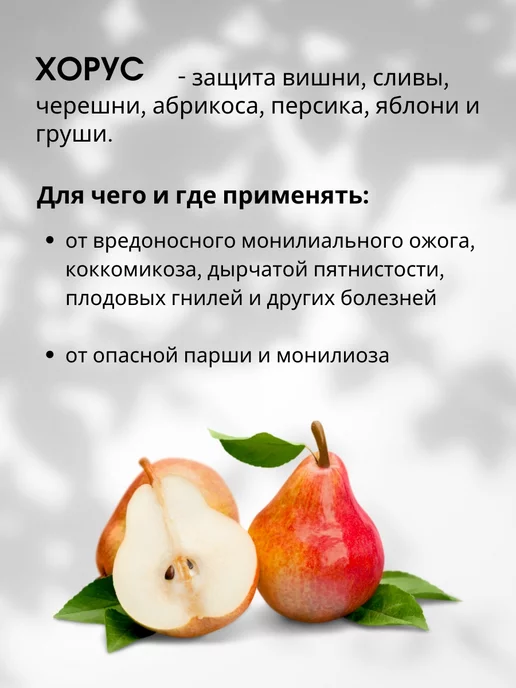 Зеленая Аптека Садовода Препарат от болезней плодовых Хорус 2г, 2 г, фото 3