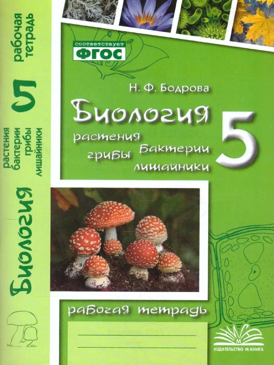 Биология 5 класс. Рабочая тетрадь М-Книга 54399404 купить за 228 ₽ в  интернет-магазине Wildberries