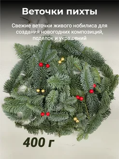 Нобилис живой 400 гр. Еловые веточки MY-HOME 54413753 купить за 546 ₽ в интернет-магазине Wildberries