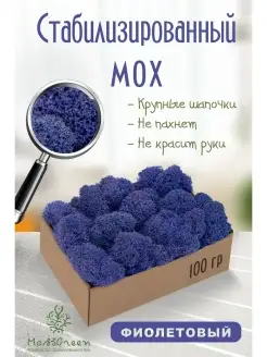 Мох стабилизированный MossGreen 54604782 купить за 332 ₽ в интернет-магазине Wildberries