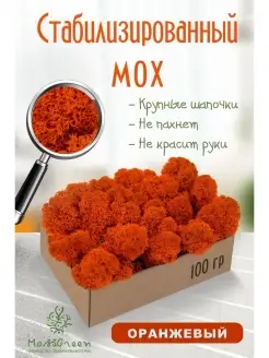 Мох стабилизированный MossGreen 54605507 купить за 332 ₽ в интернет-магазине Wildberries