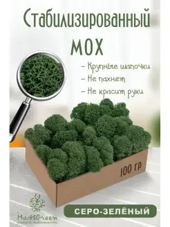 Мох стабилизированный MossGreen 54606967 купить за 349 ₽ в интернет-магазине Wildberries