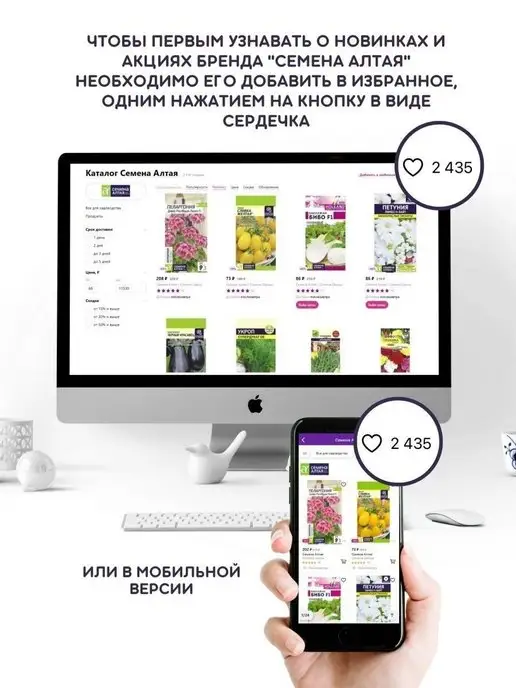 Семена Алтая Семена зелени Базилик Фиолетовый Джигит среднеспелый, зеленый, фото 7