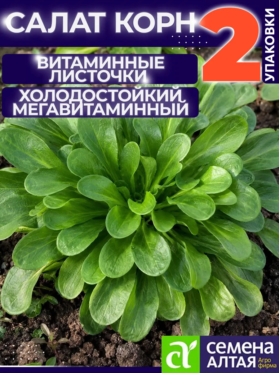 Семена зелени Салат Корн Витаминные Листочки