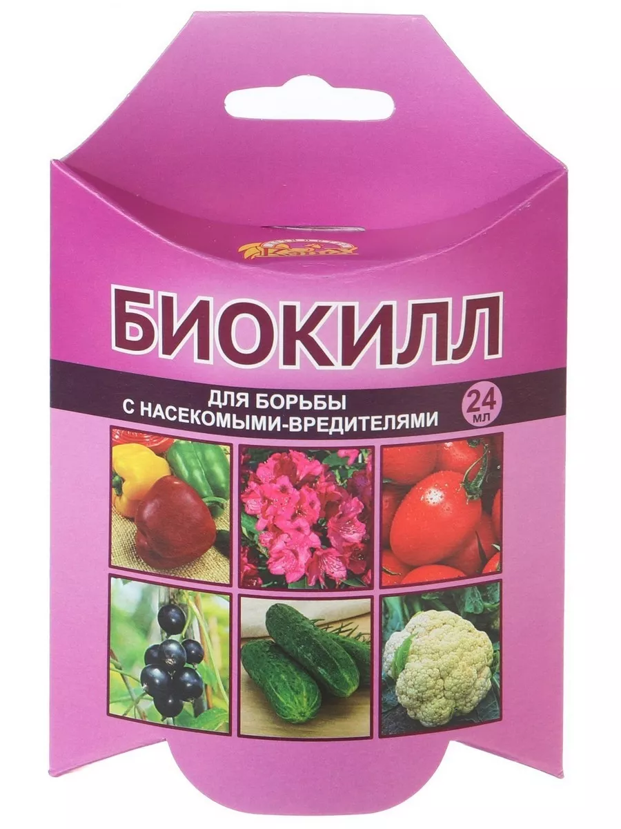 форум магазина коллекционных орхидей orchids.ua