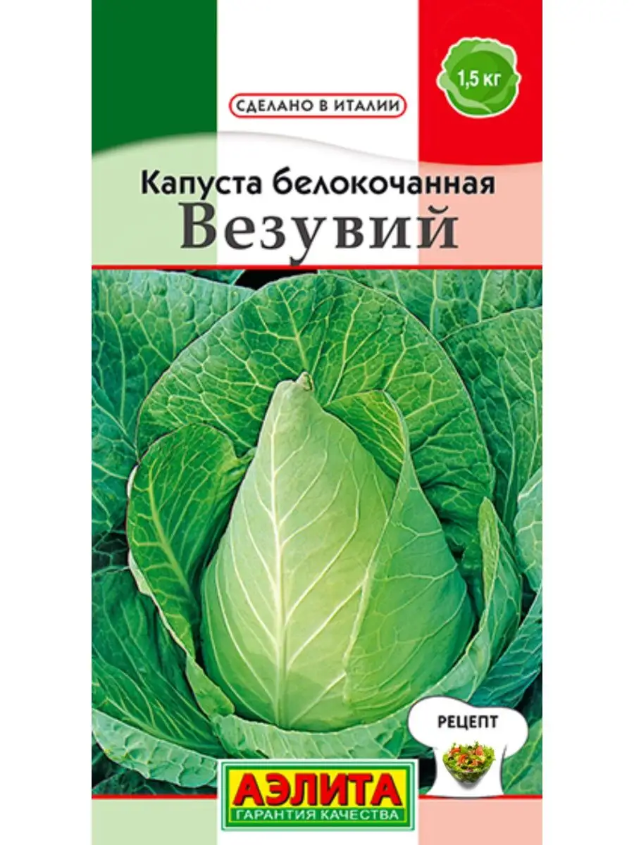 Семена Капуста белокочанная Везувий,0.3г Агрофирма Аэлита 54918670 купить  за 98 ₽ в интернет-магазине Wildberries