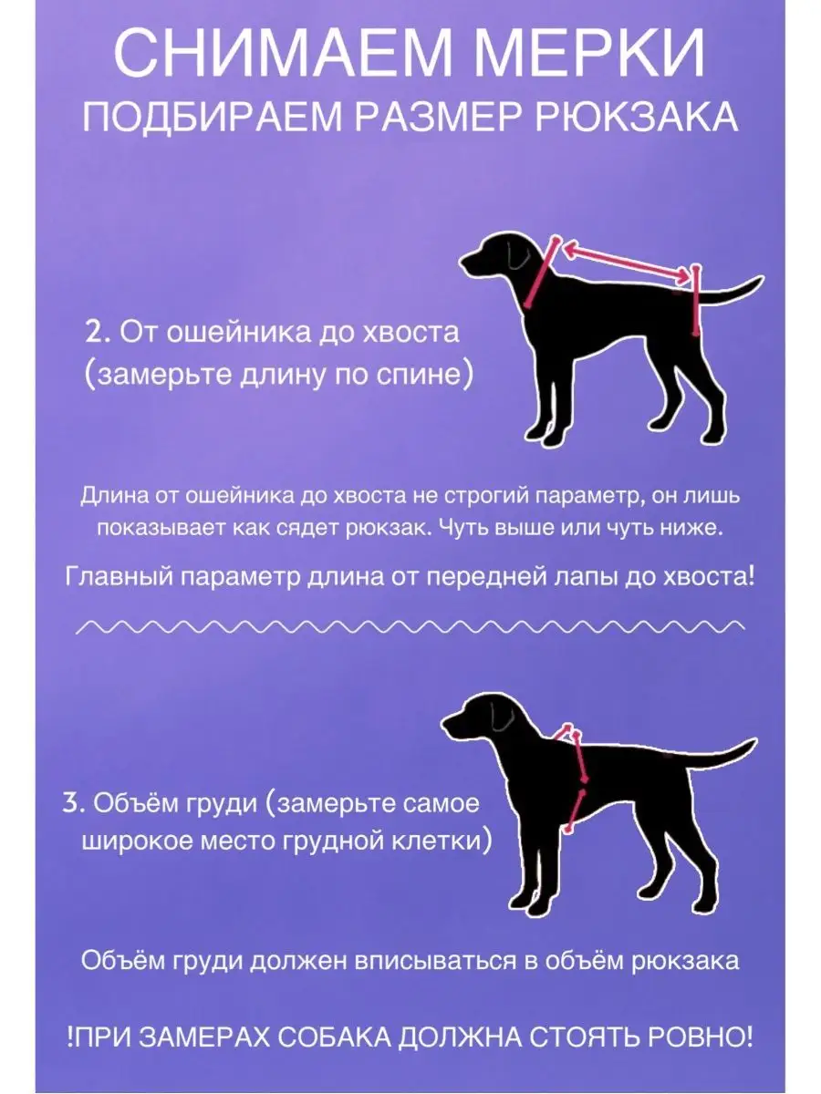 Сумка для собаки DogTalk 54924501 купить за 3 186 ₽ в интернет-магазине  Wildberries