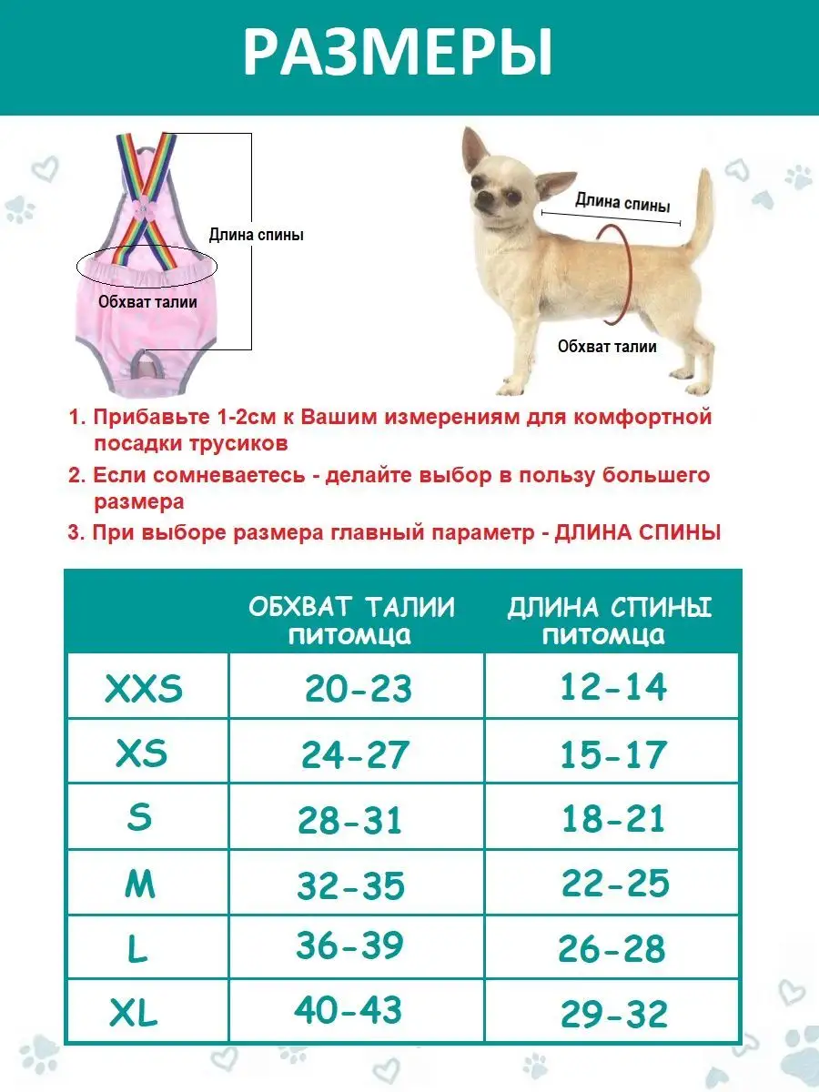 Трусы для собак при течке на подтяжках лямках мелких пород Chezare 55022023  купить за 649 ₽ в интернет-магазине Wildberries