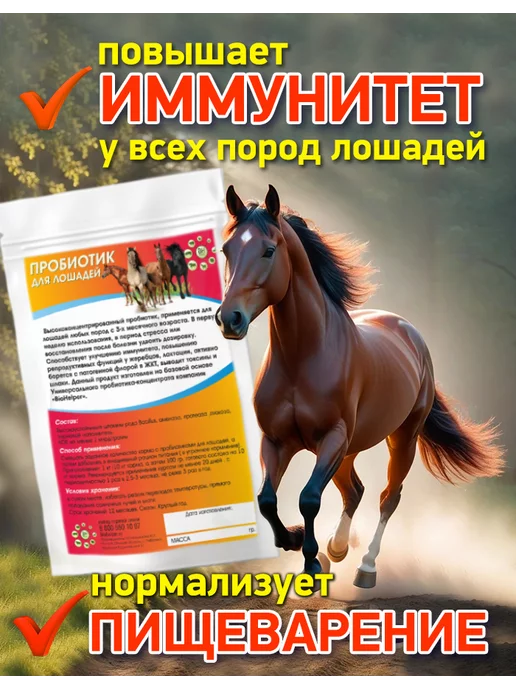 BioHelper Пробиотик для лошадей 250 гр, 250 г