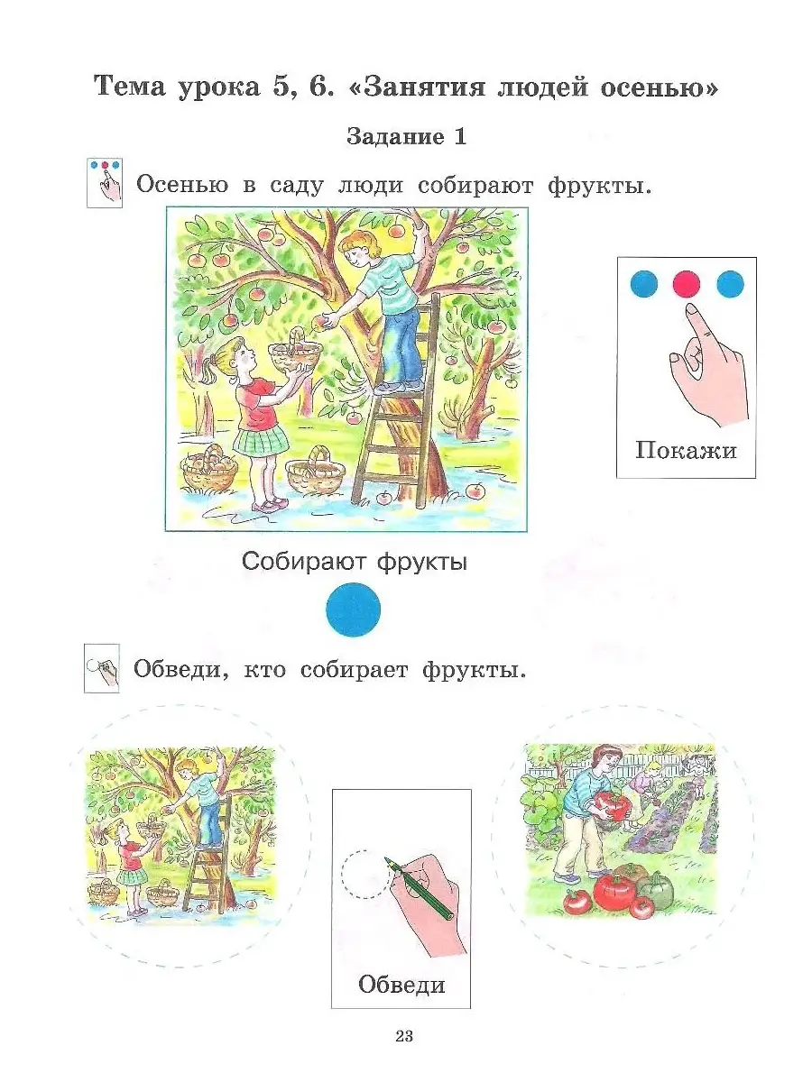 Окружающий природный мир. Часть 1. Рабочая тетрадь для индивидуальной  работы с детьми с ТМНР Издательство Владос 55305463 купить за 627 ₽ в  интернет-магазине Wildberries