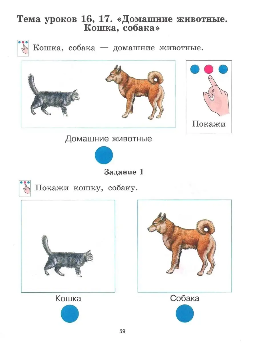 Окружающий природный мир. Часть 1. Рабочая тетрадь для индивидуальной  работы с детьми с ТМНР Издательство Владос 55305463 купить за 627 ₽ в  интернет-магазине Wildberries