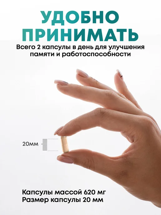 aTech nutrition Бакопа монье ноотроп для мозга, вариант, фото 6