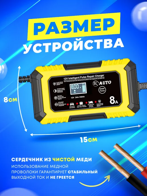 BL-Avto Зарядное устройство для аккумулятора автомобиля Lifepo4, вариант, фото 2