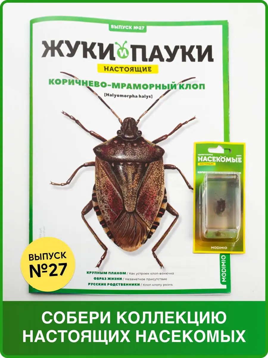 Жуки и пауки, Выпуск №27, Коричнево-мраморный клоп MODIMIO 56184933 купить  за 477 ₽ в интернет-магазине Wildberries