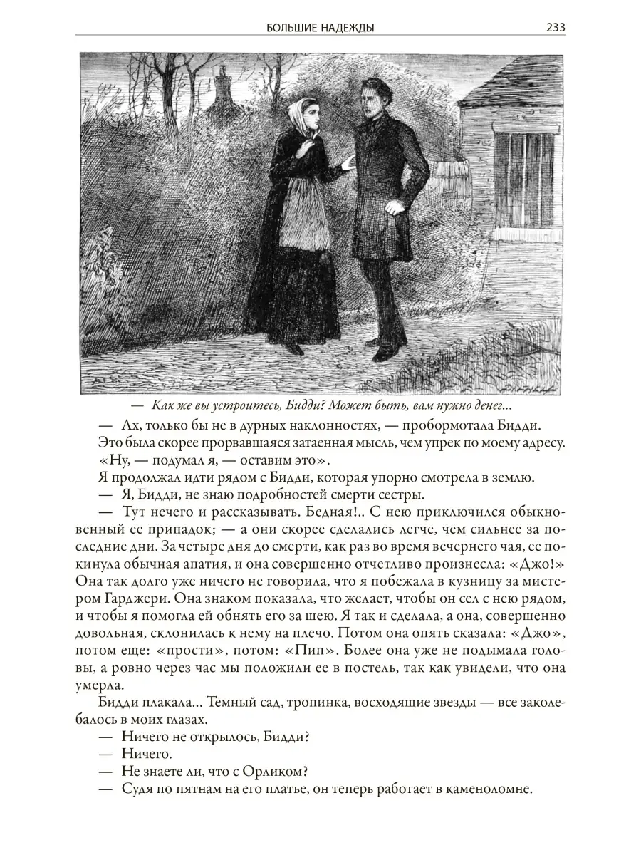 Диккенс Большие надежды Издательство СЗКЭО 56473720 купить за 491 ₽ в  интернет-магазине Wildberries