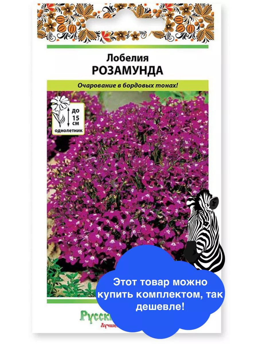 Цветы Лобелия Розамунда