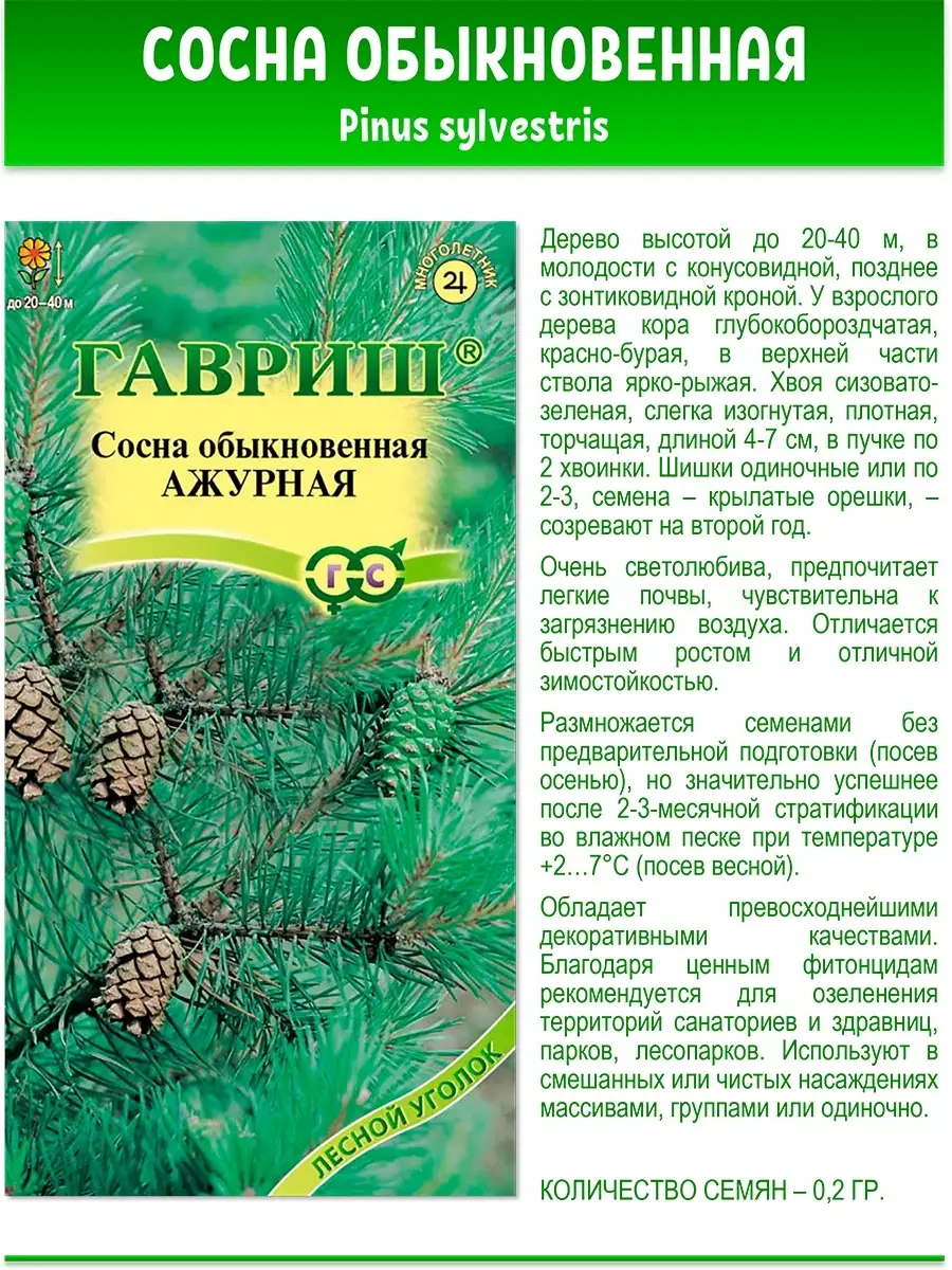 Семена сосна обыкновенная, 3 пак Гавриш 57175185 купить за 258 ₽ в  интернет-магазине Wildberries