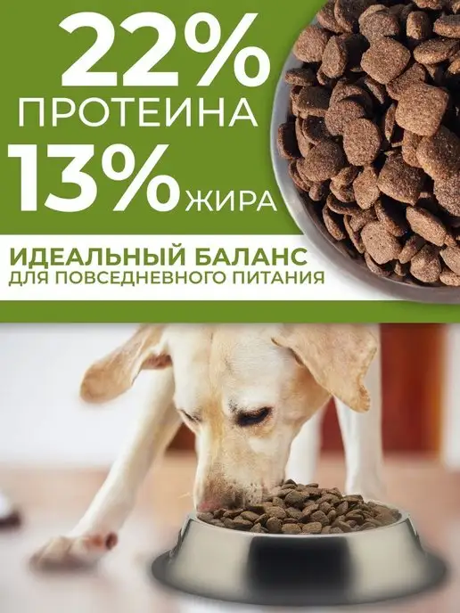 Сухой корм ДИЛЛИ для собак, говядина, 14 кг, фото 3