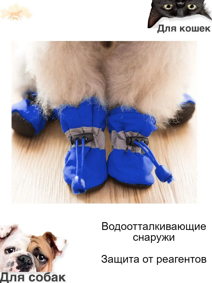 Обувь и носки для собак