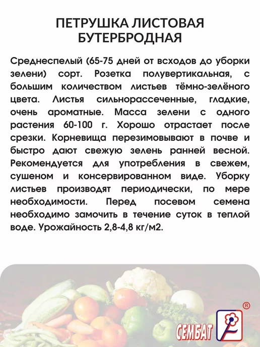 Сембат Семена Петрушка Бутербродная листовая 20г, 20 г, фото 2