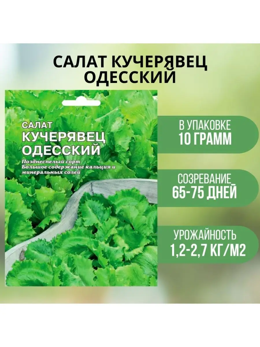 Семена Салат одесский 10г