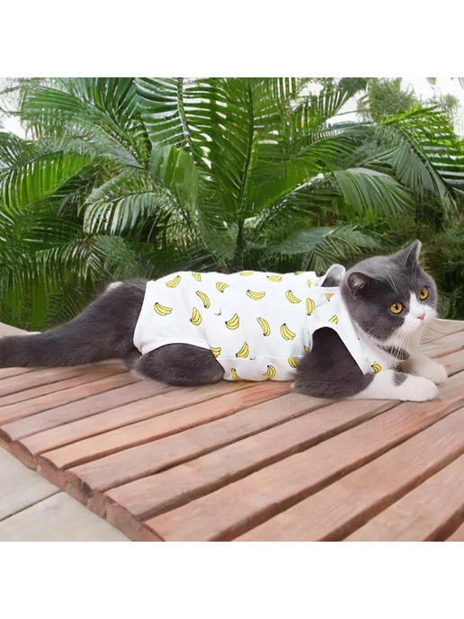 КОТаNyshKa Попона для кошки послеоперационная, белый, фото 5