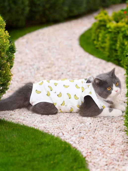 КОТаNyshKa Попона для кошки послеоперационная, белый, фото 8