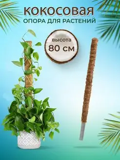 Держатель садовый Tropicana Gifts 57662798 купить за 137 ₽ в интернет-магазине Wildberries