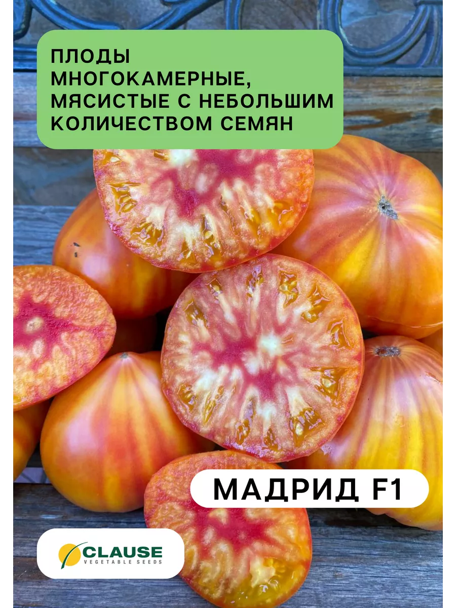 Семена томата желтого крупного Мадрид F1 СЕМЕНА ПРО 57682078 купить за 499  ₽ в интернет-магазине Wildberries