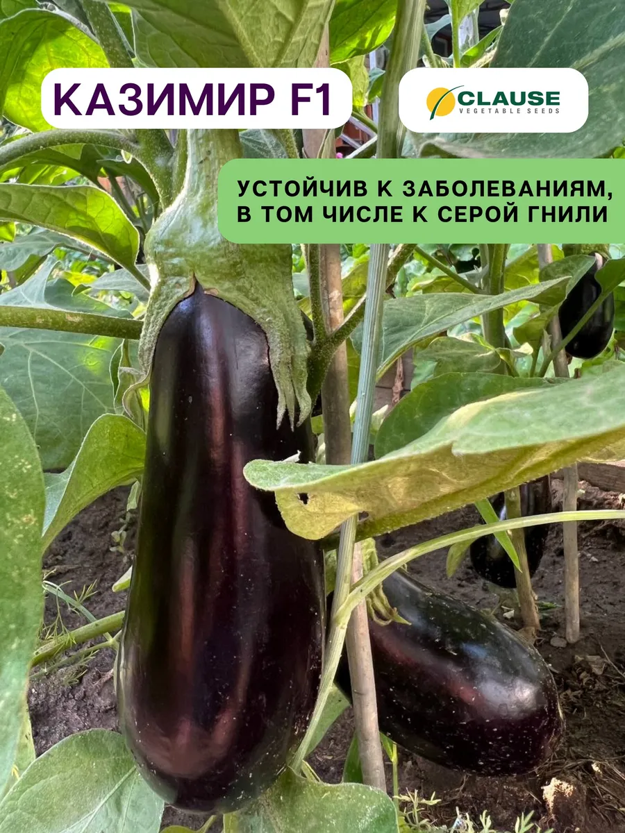 Сбор и хранение