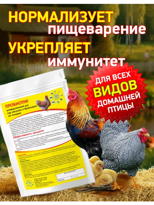 BioHelper Пробиотик универсальный для кур, вариант