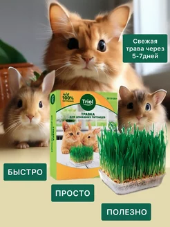 Трава для кошек, для проращивания, 70гр TRIOL 57816780 купить за 172 ₽ в интернет-магазине Wildberries