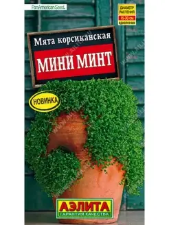 Семена Мята Корсиканская Мини Минт Аэлита 57840747 купить за 104 ₽ в интернет-магазине Wildberries