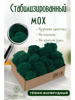 Мох стабилизированный MossGreen 57842147 купить за 332 ₽ в интернет-магазине Wildberries