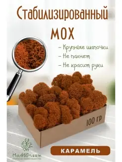 Мох стабилизированный MossGreen 57842313 купить за 332 ₽ в интернет-магазине Wildberries