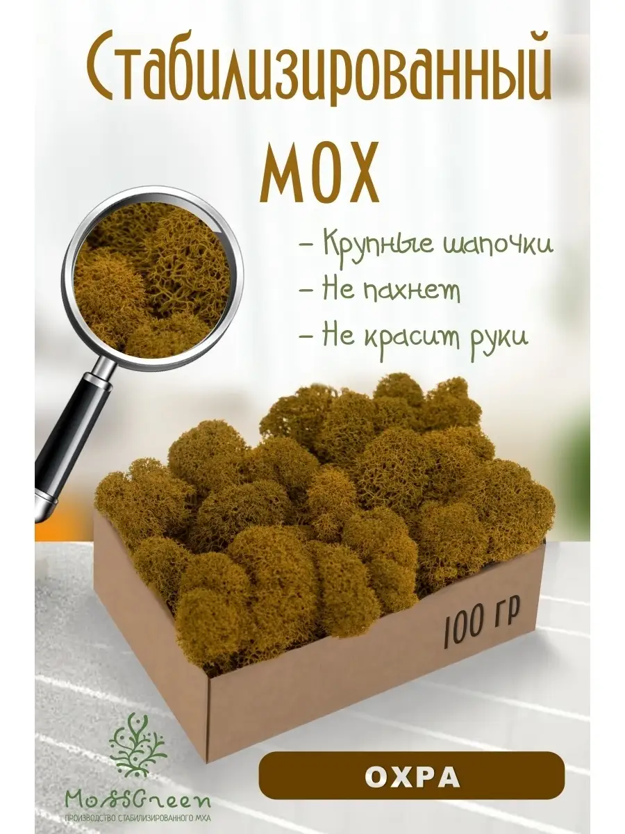 Мох стабилизированный MossGreen 57842790 купить за 356 ₽ в  интернет-магазине Wildberries