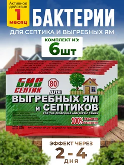 Бактерии для септика, выгребных ям и дачного туалета 6 шт БИОсептик 57903251 купить за 768 ₽ в интернет-магазине Wildberries